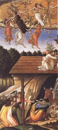 Sandro Botticelli Mystic Nativity France oil painting art